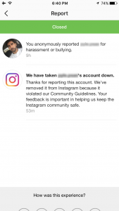 instagram-cyberbullying-report