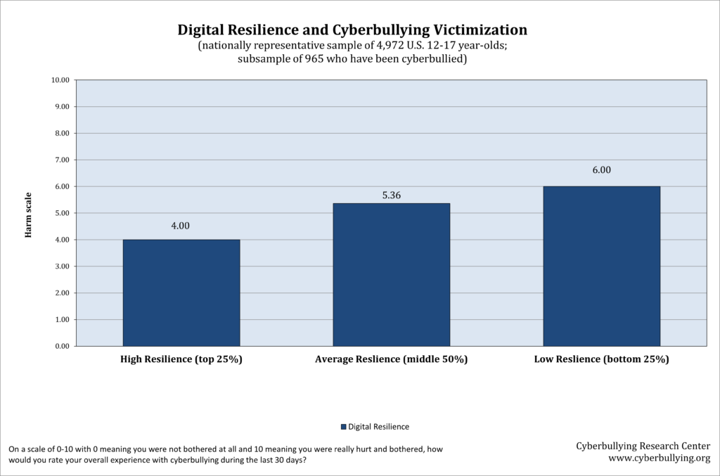 Digital Resilience